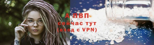 ГАЛЛЮЦИНОГЕННЫЕ ГРИБЫ Абаза