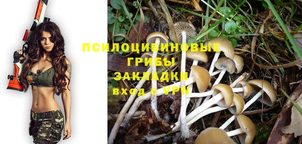 ГАЛЛЮЦИНОГЕННЫЕ ГРИБЫ Абаза