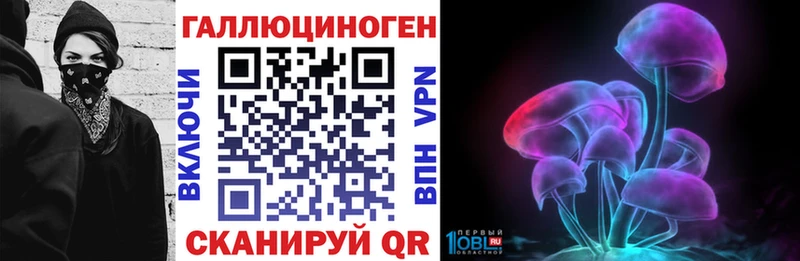 купить   Астрахань  Галлюциногенные грибы Psilocybine cubensis 